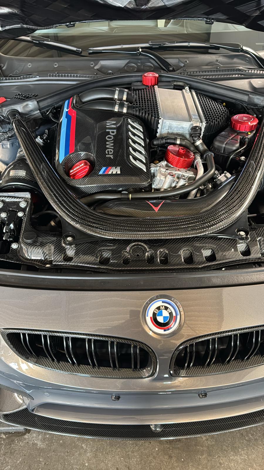 BMW 2er / 3er / 4er / M2 / M3 / M4 F8X vordere Kühlerstützstrebe CPG Carbon