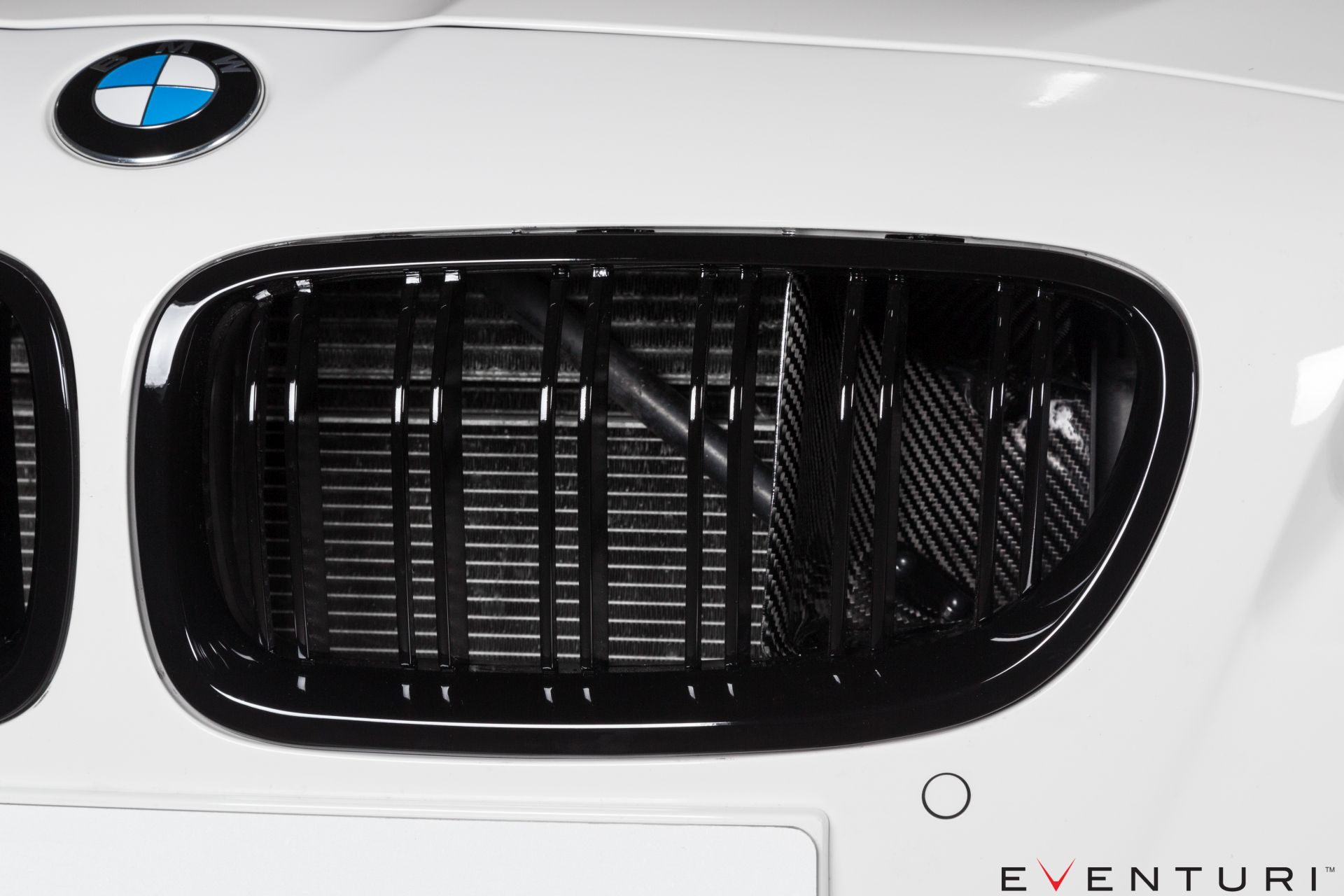 Eventuri Carbon Ansaugsystem für BMW F1X M6 - gepfeffert.com