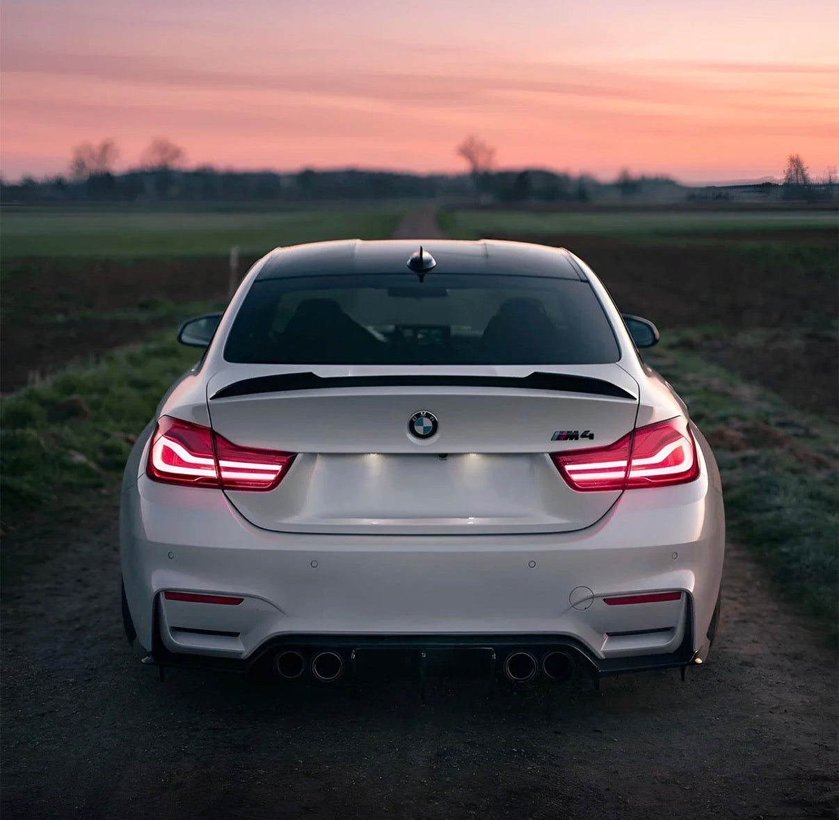 BMW M4 F82 Heckspoiler CS V7 CPG Carbon