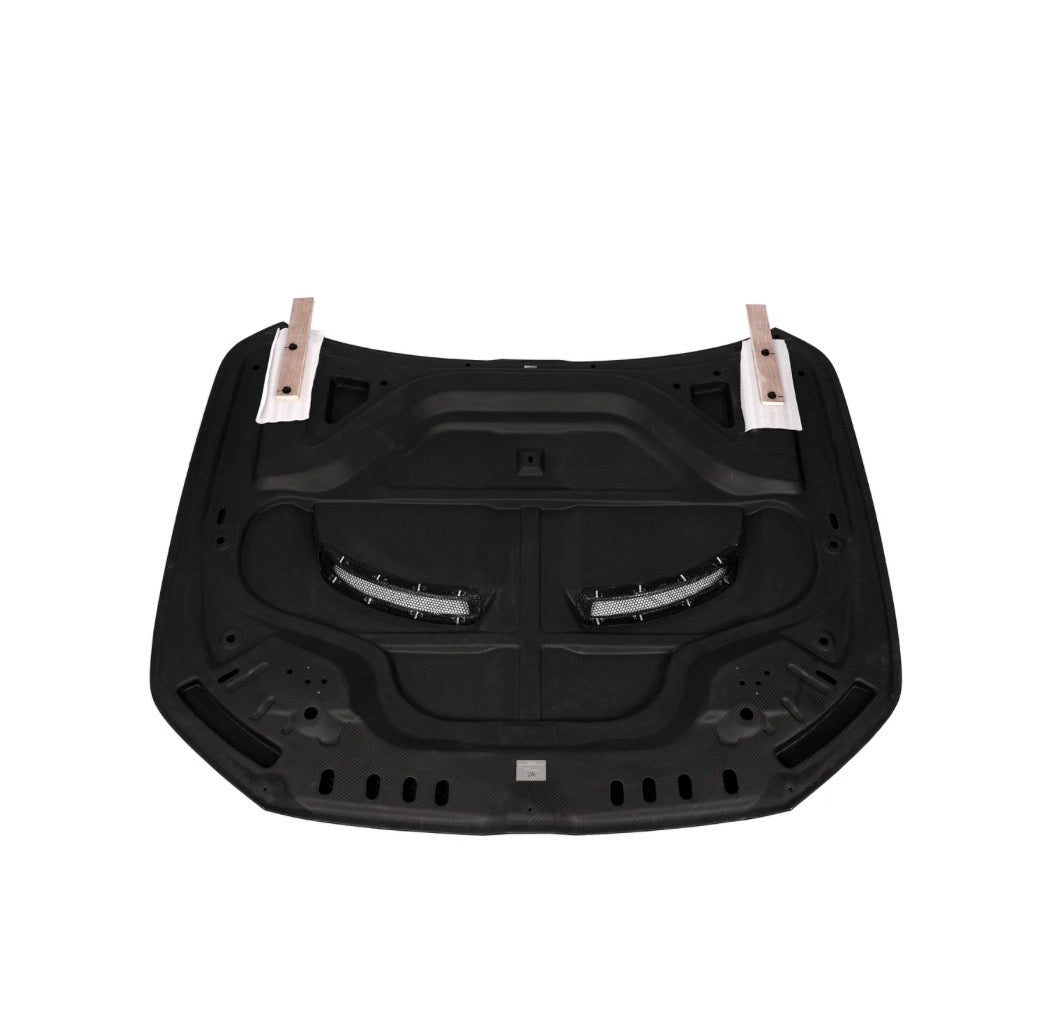 BMW M5 G90 G99 RV Motorhaube CPG Carbon