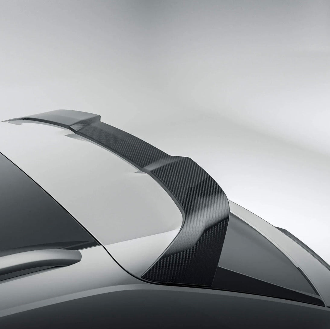 Audi RSQ8 RV Dachspoiler Vor-Facelift CPG Carbon
