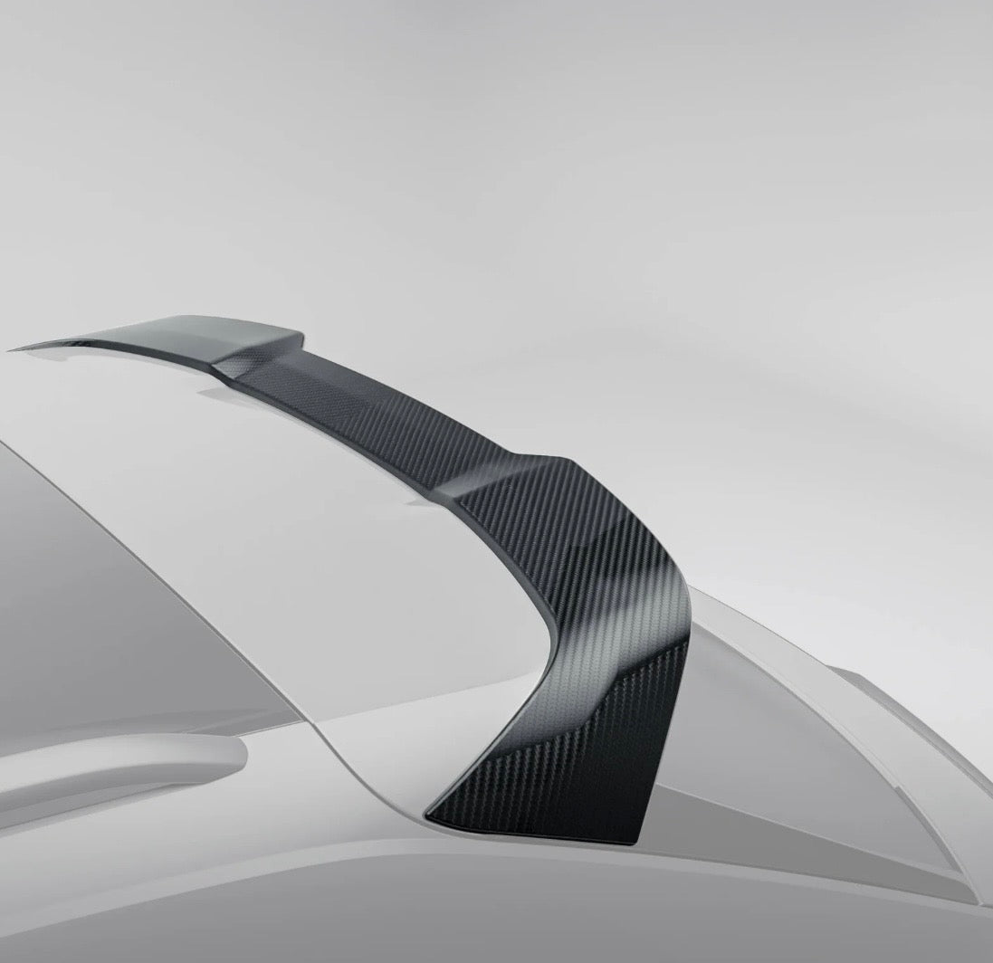 Audi RSQ8 RV Dachspoiler Vor-Facelift CPG Carbon