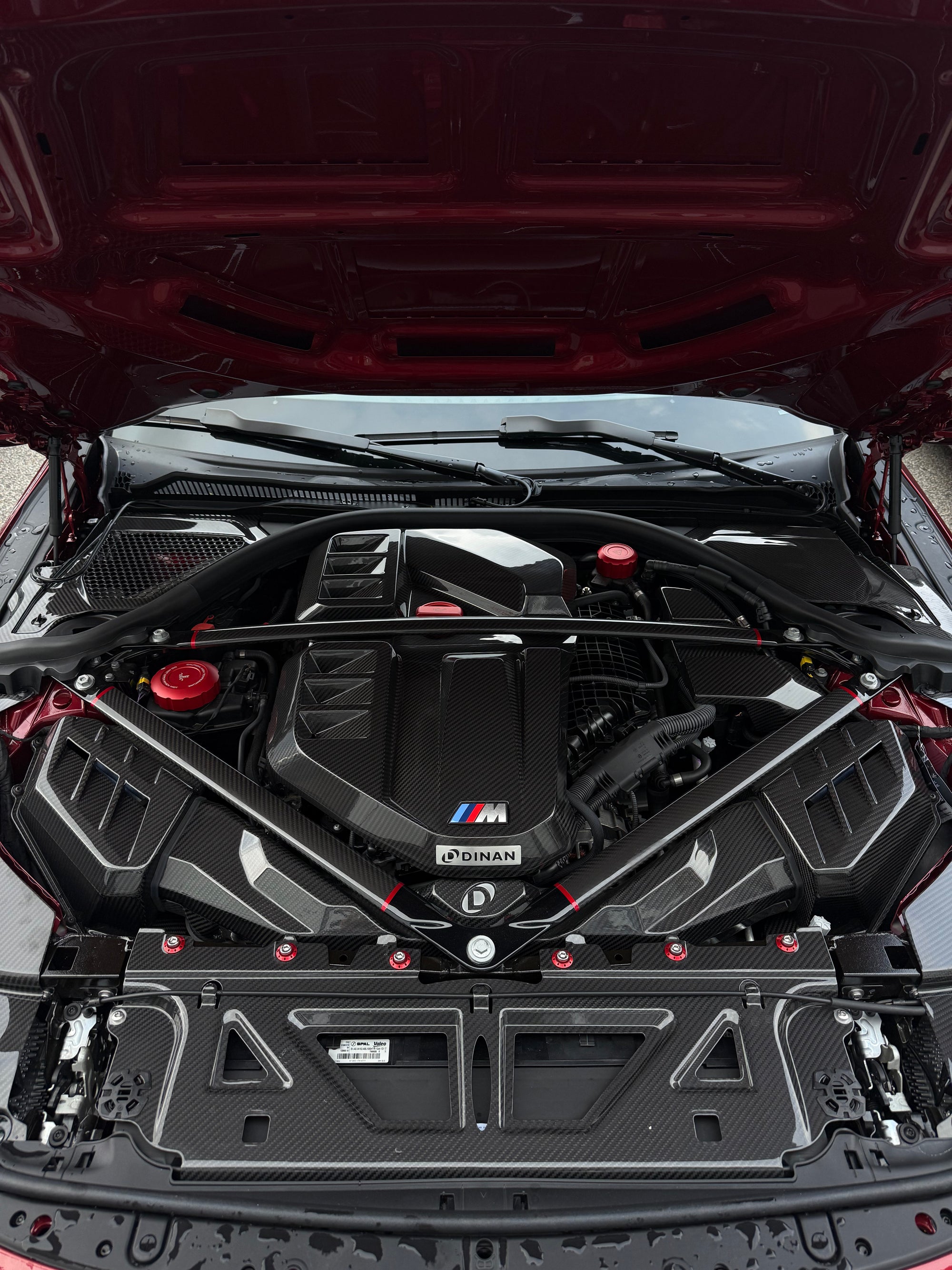 Detailansicht der CPG+ OEM+ V1 Carbon Motorabdeckung mit sichtbarer Carbonstruktur