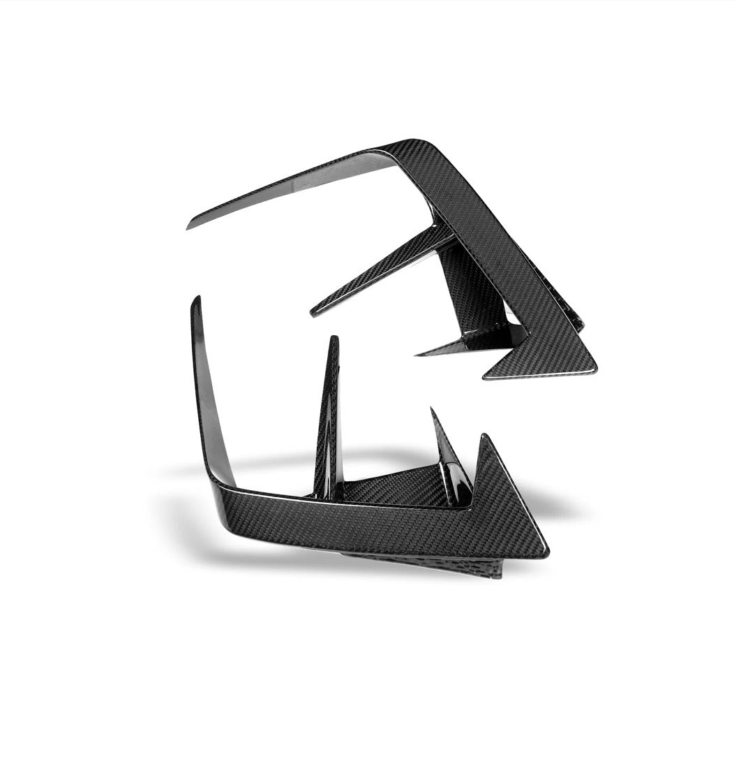 CPG+ RV V1 Dry-Carbon Canards passend für BMW M5 G90 G99