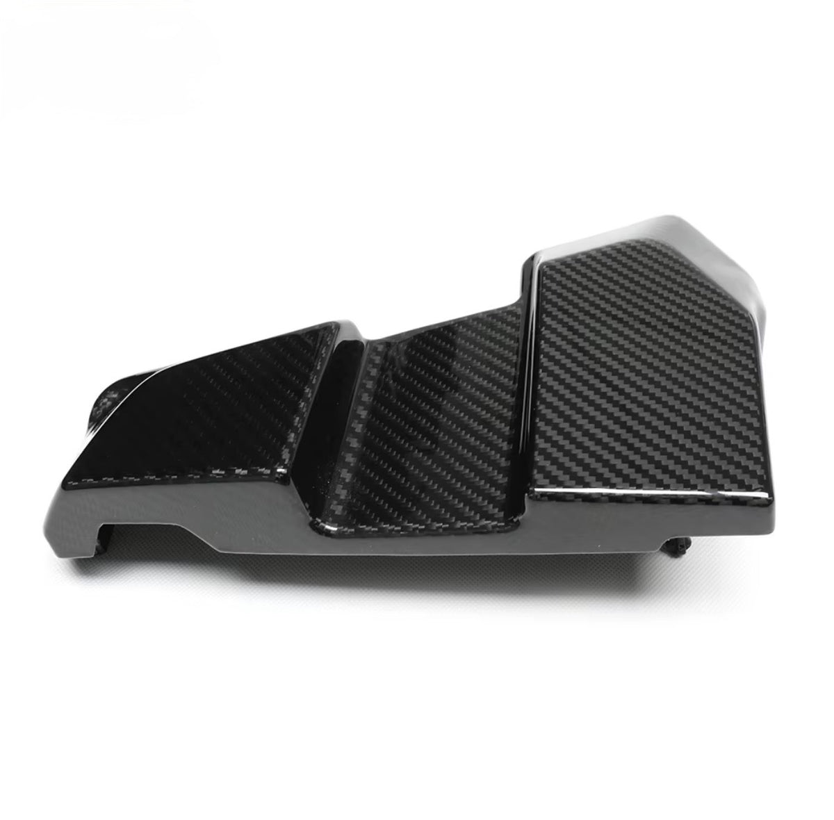 CPG+ V1 ECU Carbon Cover in der Seitenansicht